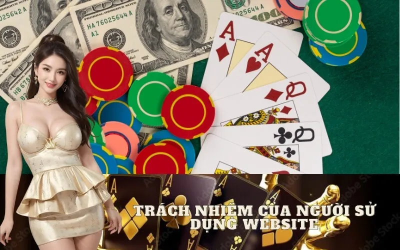 Trách Nhiệm Của Người Sử Dụng Website