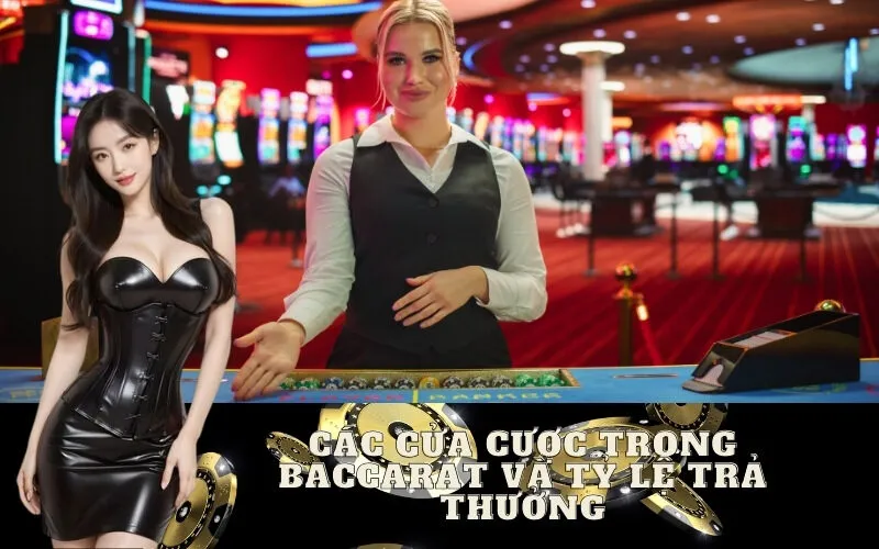 Các cửa cược trong Baccarat và tỷ lệ trả thưởng