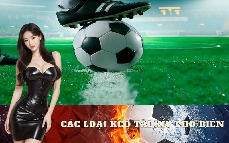 Các loại kèo Tài Xỉu phổ biến