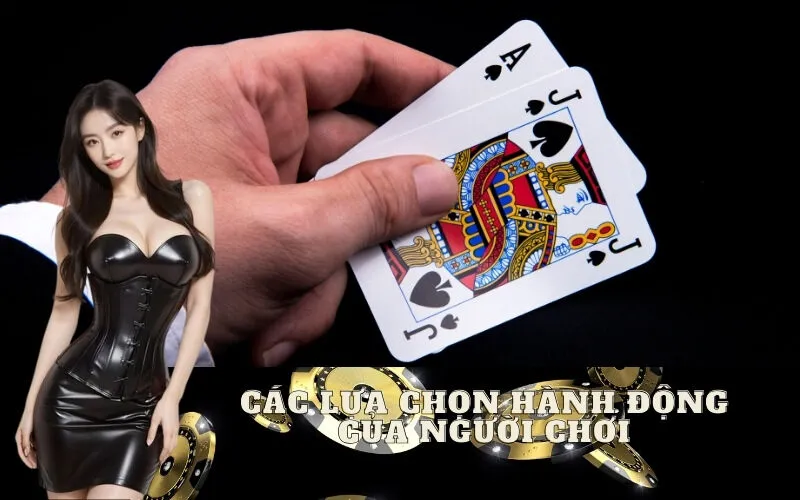 Các lựa chọn hành động của Người chơi