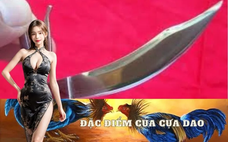 Đặc Điểm Của Cựa Dao