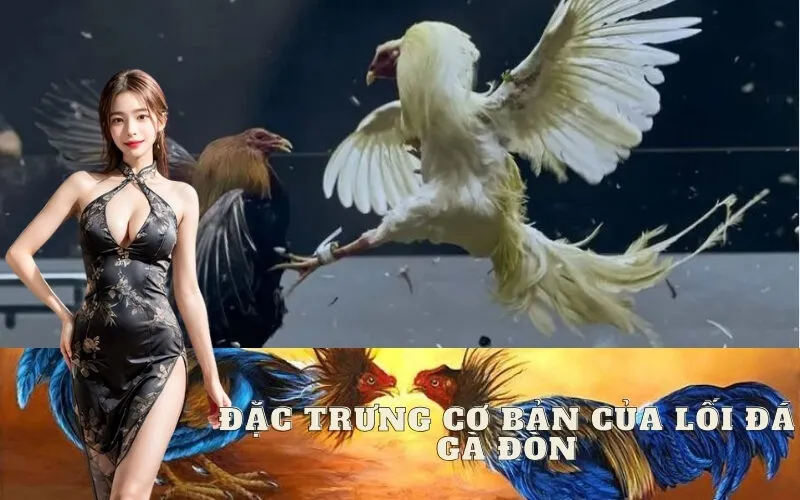 Đặc Trưng Cơ Bản Của Lối Đá Gà Đòn