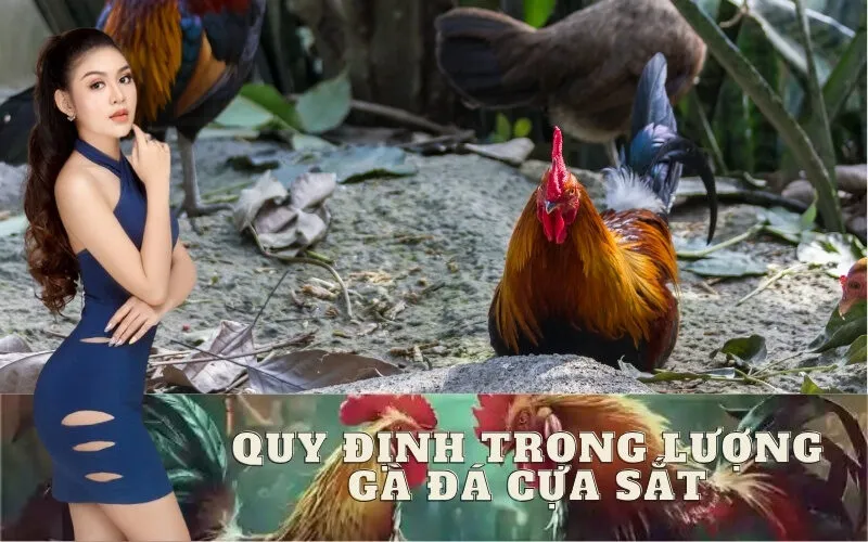 Quy Định Trọng Lượng Đá Cựa Sắt