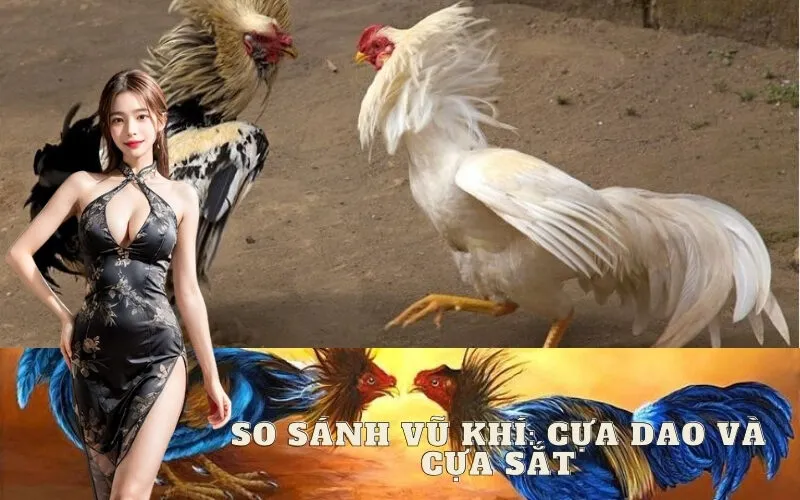 So Sánh Vũ Khí: Cựa Dao và Cựa Sắt